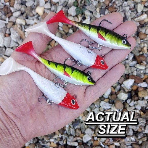 Cannibal Shad Long Cast Fishing lures Soft Perch Trout Pike Bass Candy Gear x 4 - Picture 6 of 12