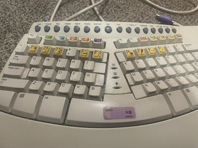 MICROSOFT Natural Keyboard Pro USB & PS/2 Wired Ergonomic Keyboard