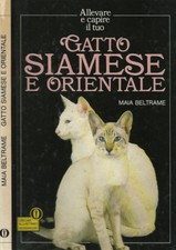 Gatto siamese e orientale. . Maia Beltrame. 1989. IED.