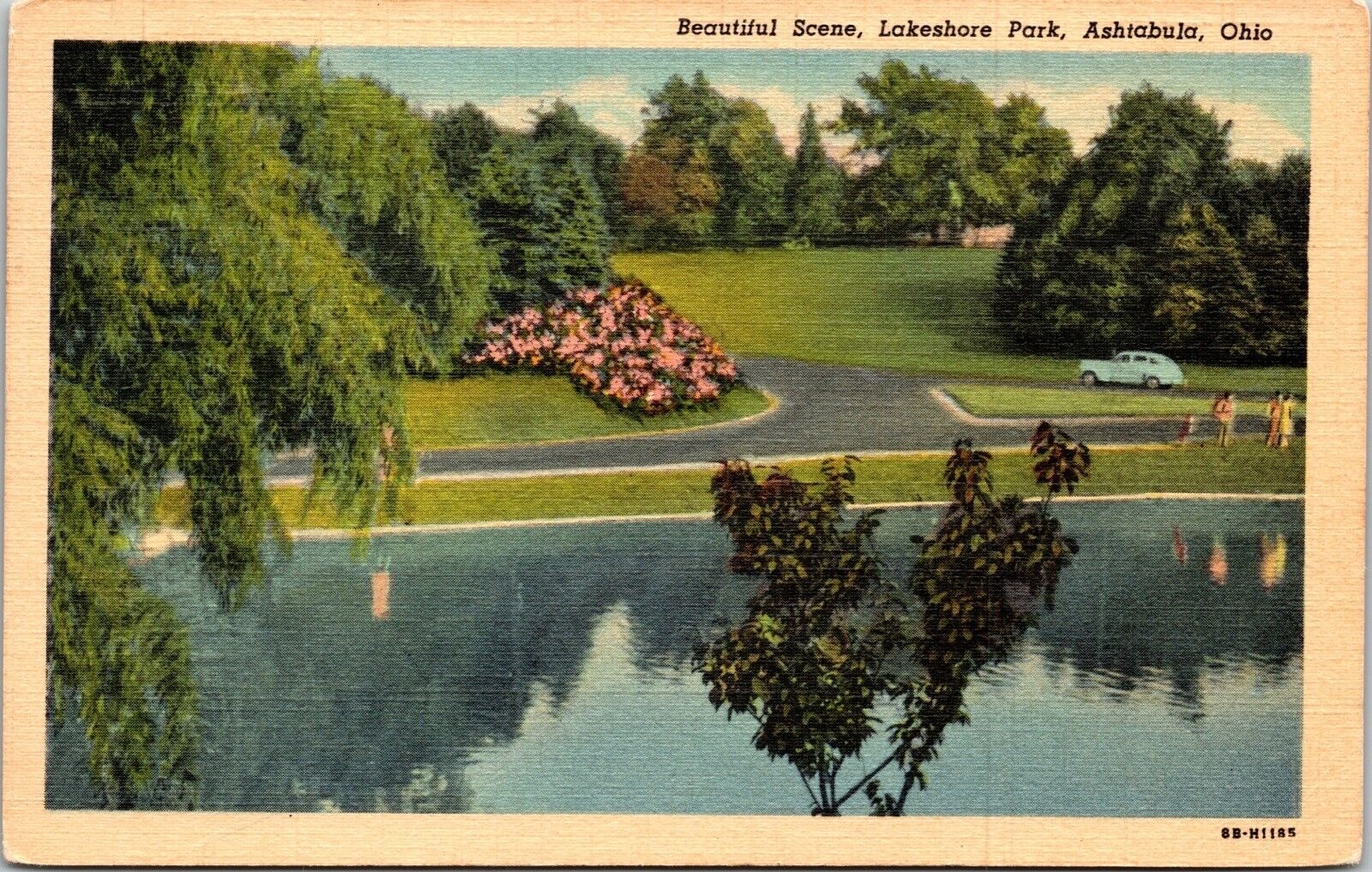 Beautful Tree Types Beautiful Scene, Lakeshore Park, Ashtabula, Ohio Postcard Pm Wob Note ...