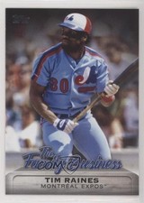 2019 Topps Update The Family Business Tim Raines #FB-12 HOF 2k3
