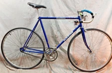 1985 Schwinn Caliente Fixed Gear Fixie Flip-Flop SS Bike 58cm Large Lugged Steel