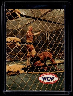 1995 Cardz WCW Main Event Dustin/Arn (Cage Match) - Cardz Wrestling