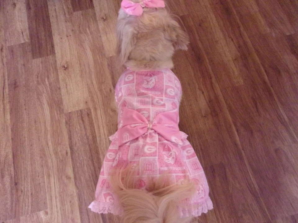  dog dress,Georgia Bulldogs,pink,Large for small breeds*(read details for size) - Image 3 of 4