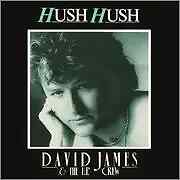 David James & The U.P. Crew Hush Hush Vinyl Single 7inch Metronome