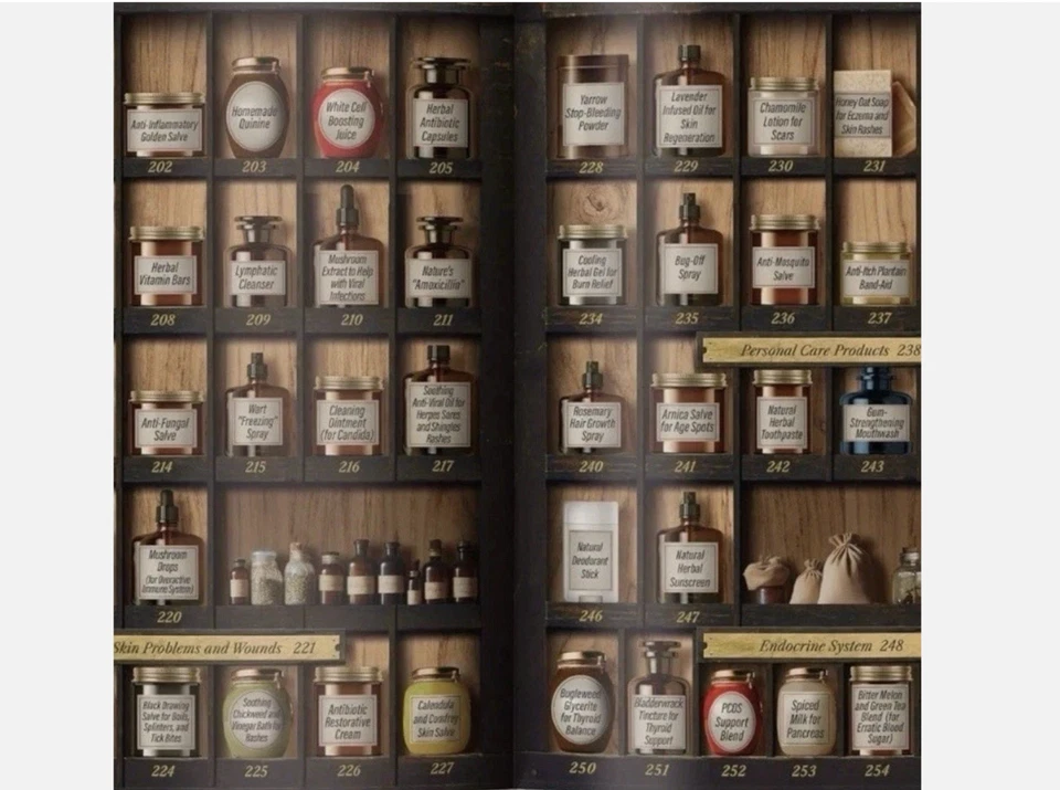 The Holistic Home Apothecary 250 Forgotten Remedies: Natural & Herbal Solutions - image 3 of 4