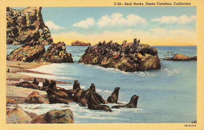 Postcard Seal Rocks Santa Catalina California | eBay