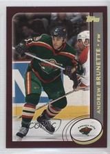 2002-03 Topps Factory Set Gold Foil Andrew Brunette #47 0q3