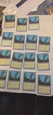 MTG Revised Italian ITA FWB Foreign White Border Basic Land Forest A Foggy Tree