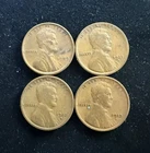 4 Lincoln Wheat Pennies (1909 VDB, 1911 D, 1912 D , 1913 D) Nice Coins #45
