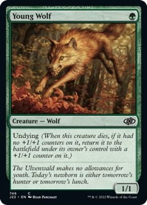 Young Wolf [J22 - 746] Common NM Jumpstart 2022 MTG