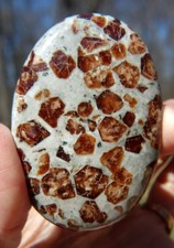 Garnet in Wollastonite Palm Stone