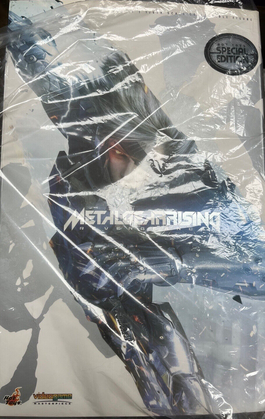 Hot Toys Metal Gear Rising: Revengeance - Raiden VGM17 (Special Edition) -  Toys Wonderland