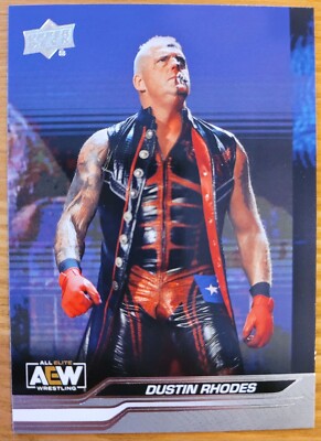 AEW 2024 Trading Cards, Upper Deck, Dustin Rhodes, Nr. 3