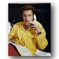 Peter Sellers Photo 8x10 The World Of Henry Orient 1964 George Roy Hill Actor