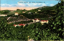 San Diego California CA : PANORAMIC SCENE d/24 BF4398