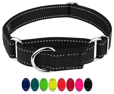 Country Brook Petz® Reflective Nylon Martingale Dog Collar