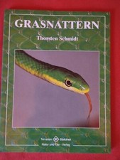 Grasnattern , Neuwertig