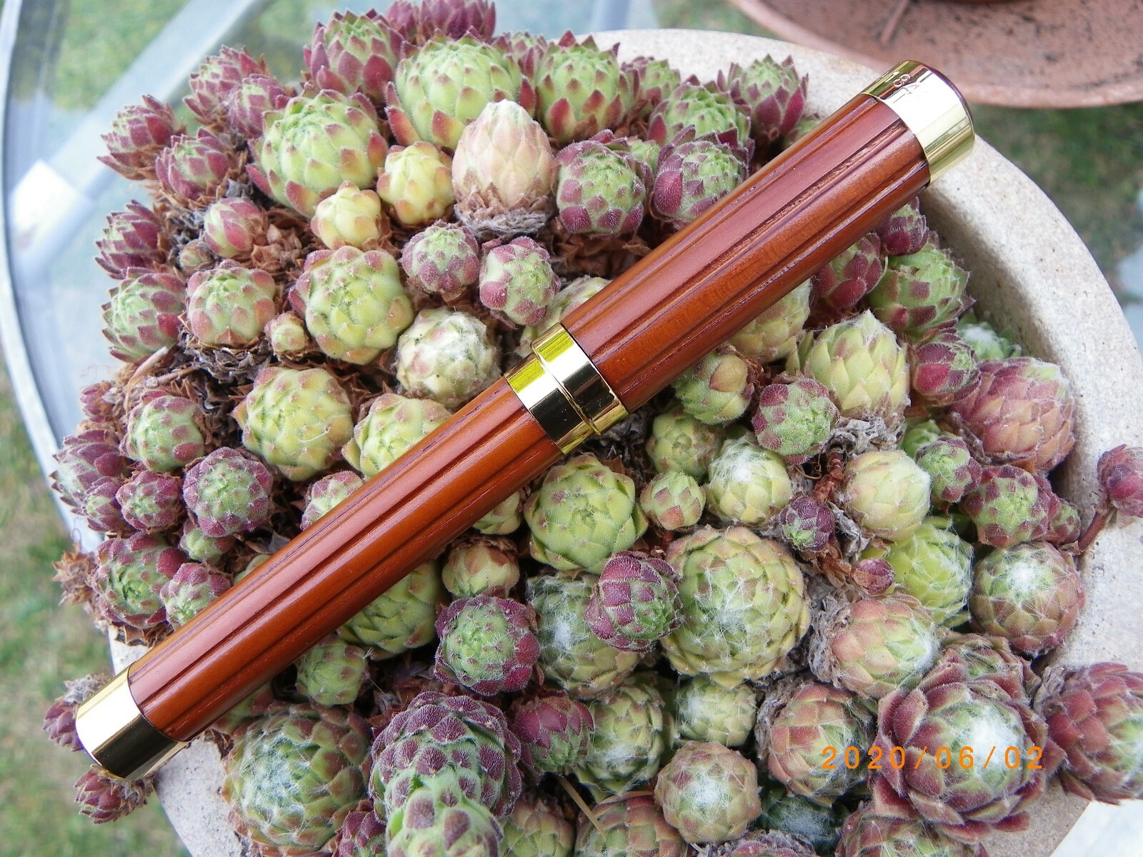 Grand stylo plume Gold Rush en bois exotique rare et finitions dorees pour calligraphie