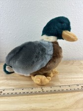 TY Beanie Buddy  Jake  the Mallard Duck Retired Vintage MWMT 10 inch 