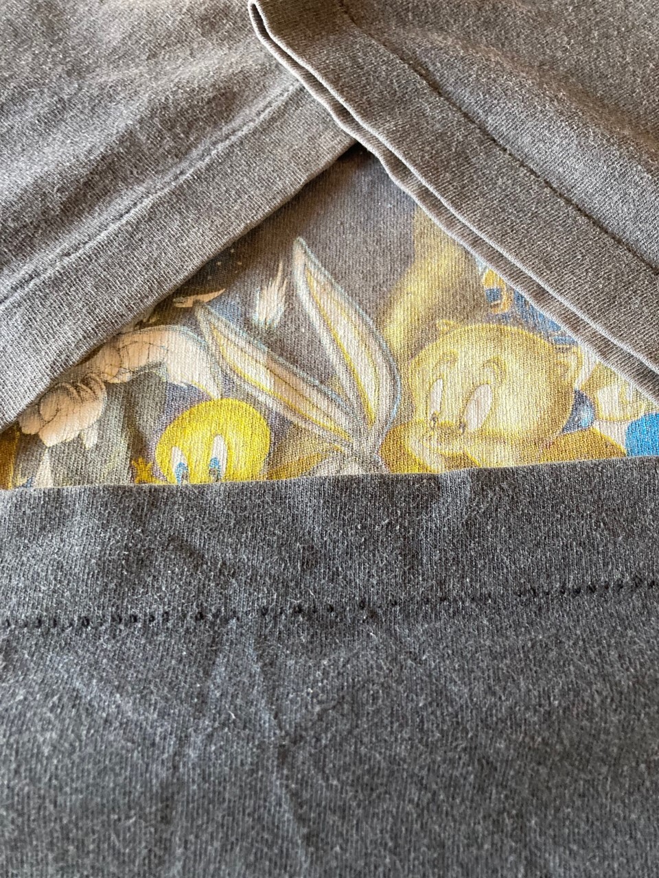 michael jordan and bugs bunny