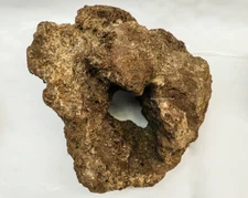 GB WYSIWYG Carved Lava Rock Plant Aquarium Fish Tank Terrarium Reptile Cichlid