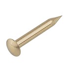 Bright Brass Escutcheon Pins - 1/2" Long - Pack of 100 - Small Round Head 