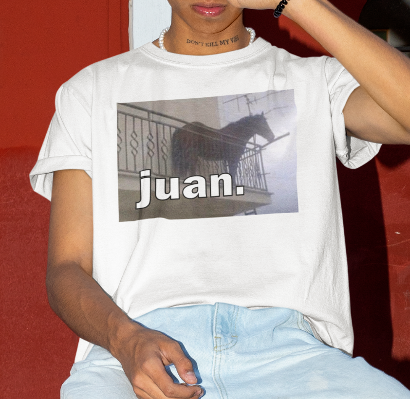 Juan Meme Funny T-Shirt For Men Meme Shirt