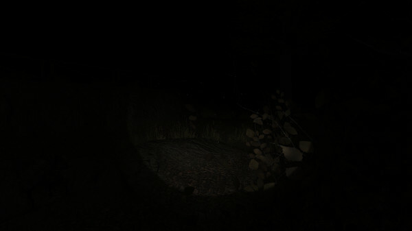 Picture 7 of 11