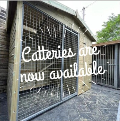 Cattery 10 x 4ft von Benchmark Kennels