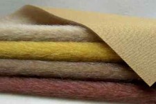 Sassy Bears Extra-Long Sparse Mini Bear Fabric - 9"x9" piece