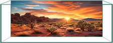 Aquarium Terrarium Background 17.7 x 35.4" Desert Sunset Static Cling