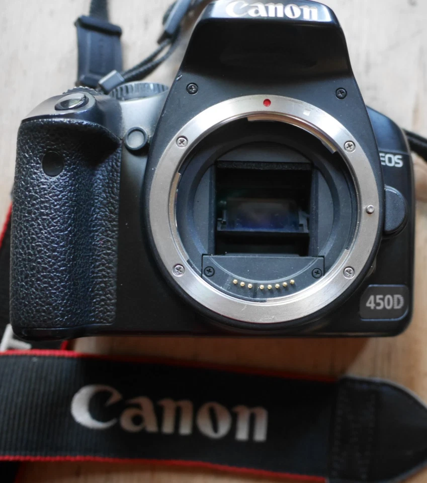 Canon EOS 450D, photo 4 of 5