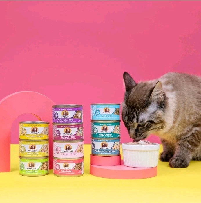 Weruva Classic Cat Food Paw Lickin&rsquo; Chicken with Breast in Gravy Case Of 12 4/28