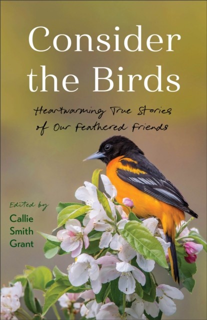 Consider the Birds (Paperback Book)