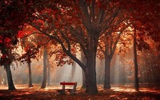 Landscape park trees fall mist leaves bench sun rays Custom Gaming Mat Desk