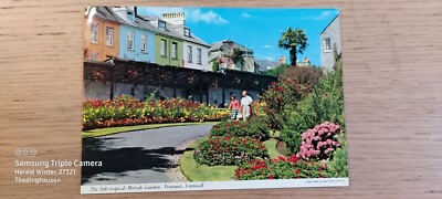 Postcard Cornwall Sub Tropical Morrab Gardens Penzance ungel_15