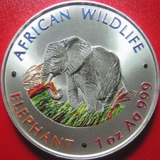 2000 ZAMBIE 5000 KWACHA 1 OZ ARGENT ÉLÉPHANT D'Afrique faune colorisée rare !