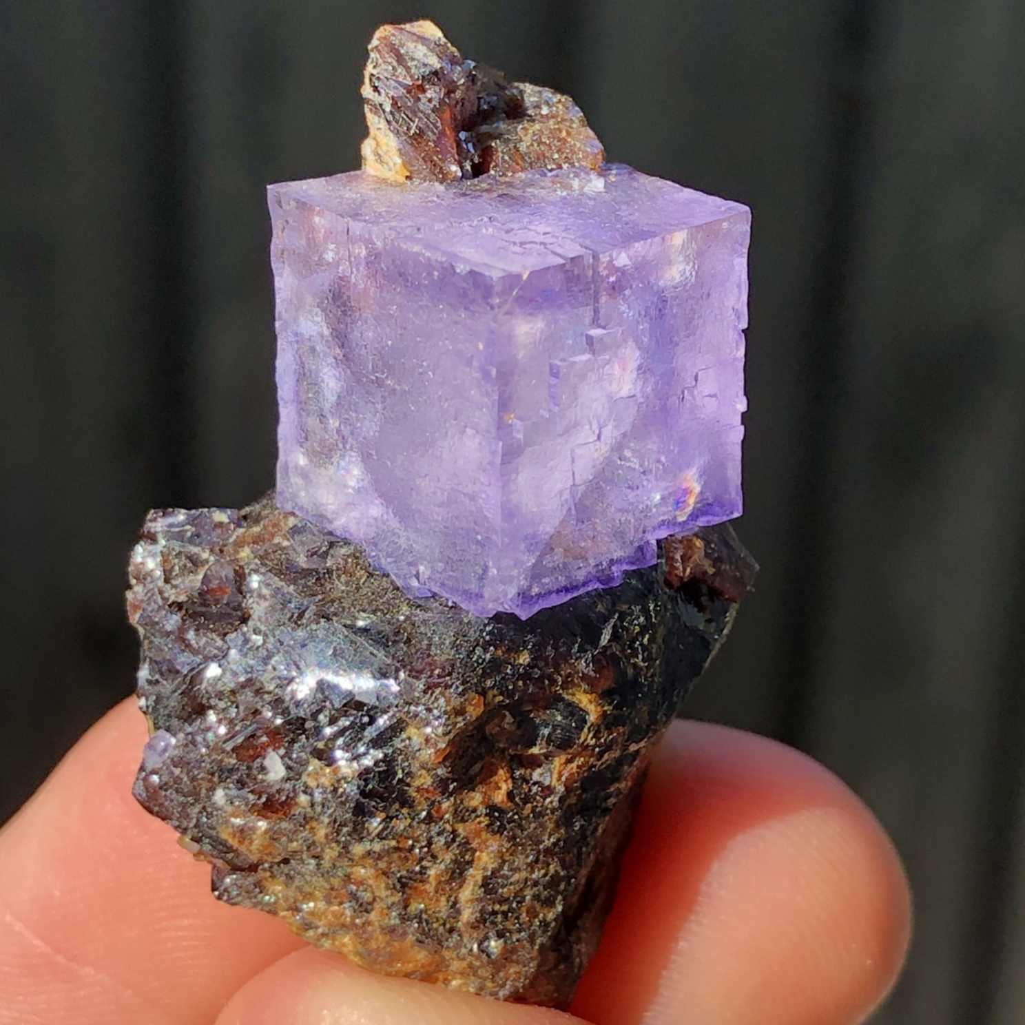 3.7cm Purple Fluorite Crystal on Sphalerite from Elmwood Mine Tennessee USA Mineral Specimen