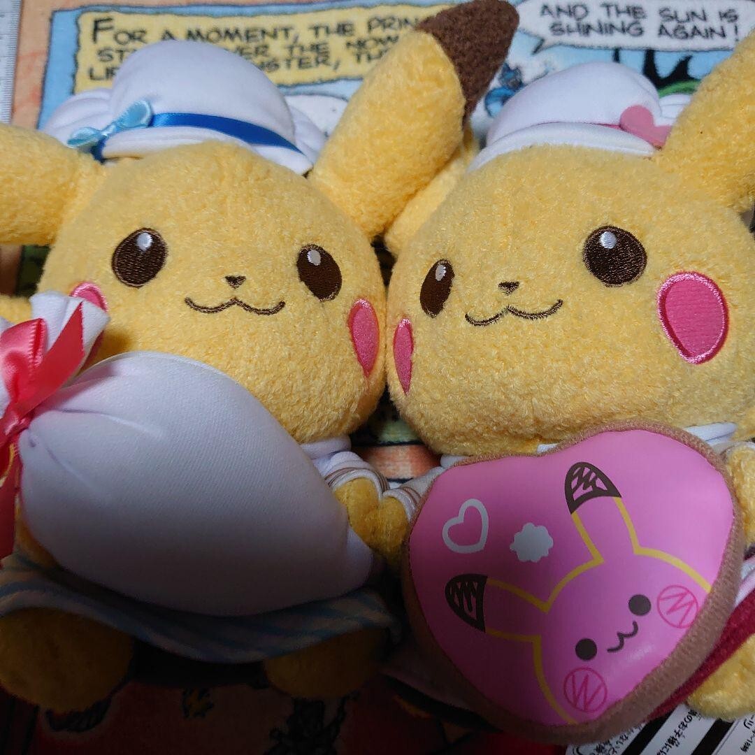 Pokemon Center Original Pikachu Sweet Treats pair Pikachu
