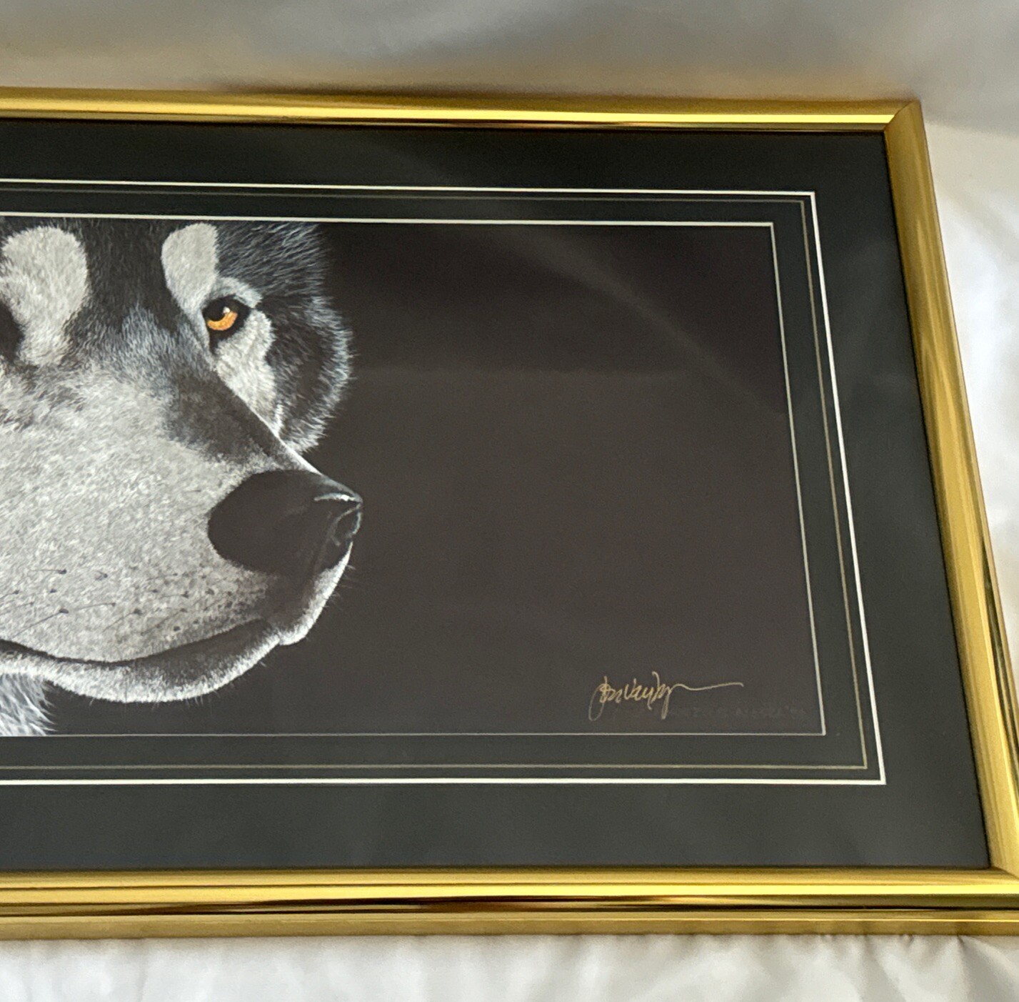 Picture 3 of 14