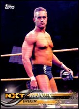 2018 Topps WWE Then Now Forever Wrestling Base Singles (Pick Your Cards)