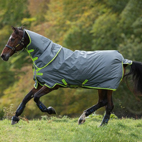 Horseware Amigo Hero 900 Plus DF 100g Grey/Lime,Green&Lime AW 20 - 第 1/1 張圖片