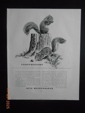 1936 Otis Elevator Maintenance vintage print AD 2 Two Squirrels illustrated art