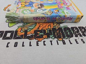 Rainbow Islands Nintendo NES Box, Game, Styrofoam.  No Manual