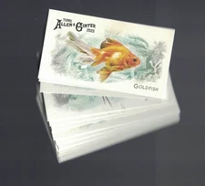 2025 Topps Allen & Ginter Fishes Global Waters Mini #FGW-1–50 • YOU PICK