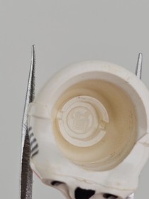 *Damaged 2x Coruscant Guard Clone Trooper Star Wars Lego Minifigure 7671 sw0189