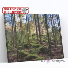 Forest Paint By Numbers Canvas Art Draw Artist Painting Oil Kit Home Decor Adult