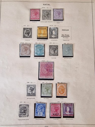 Natal Stamp Accumulation on Ancient Schaubek Pages - Picture 3 of 5