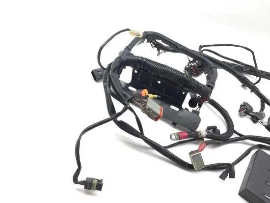 Arnés de cableado del motor principal 2004 Harley-Davidson Softail Deuce FXSTD 3319 Foto 2 de 4